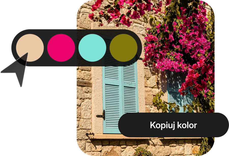 Copierea culorilor dintr-o fotografie în WebWave