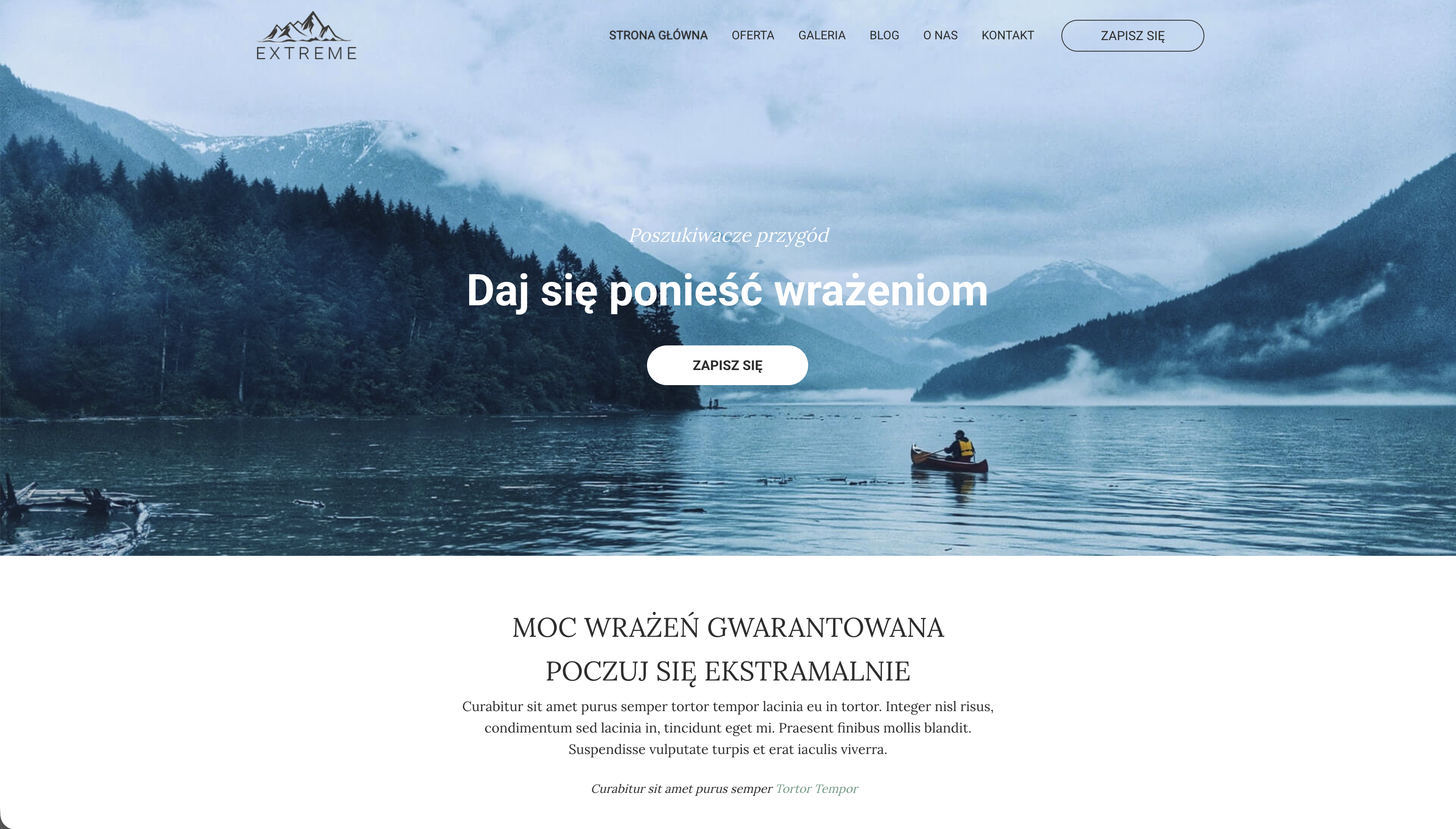 Șablon de site web