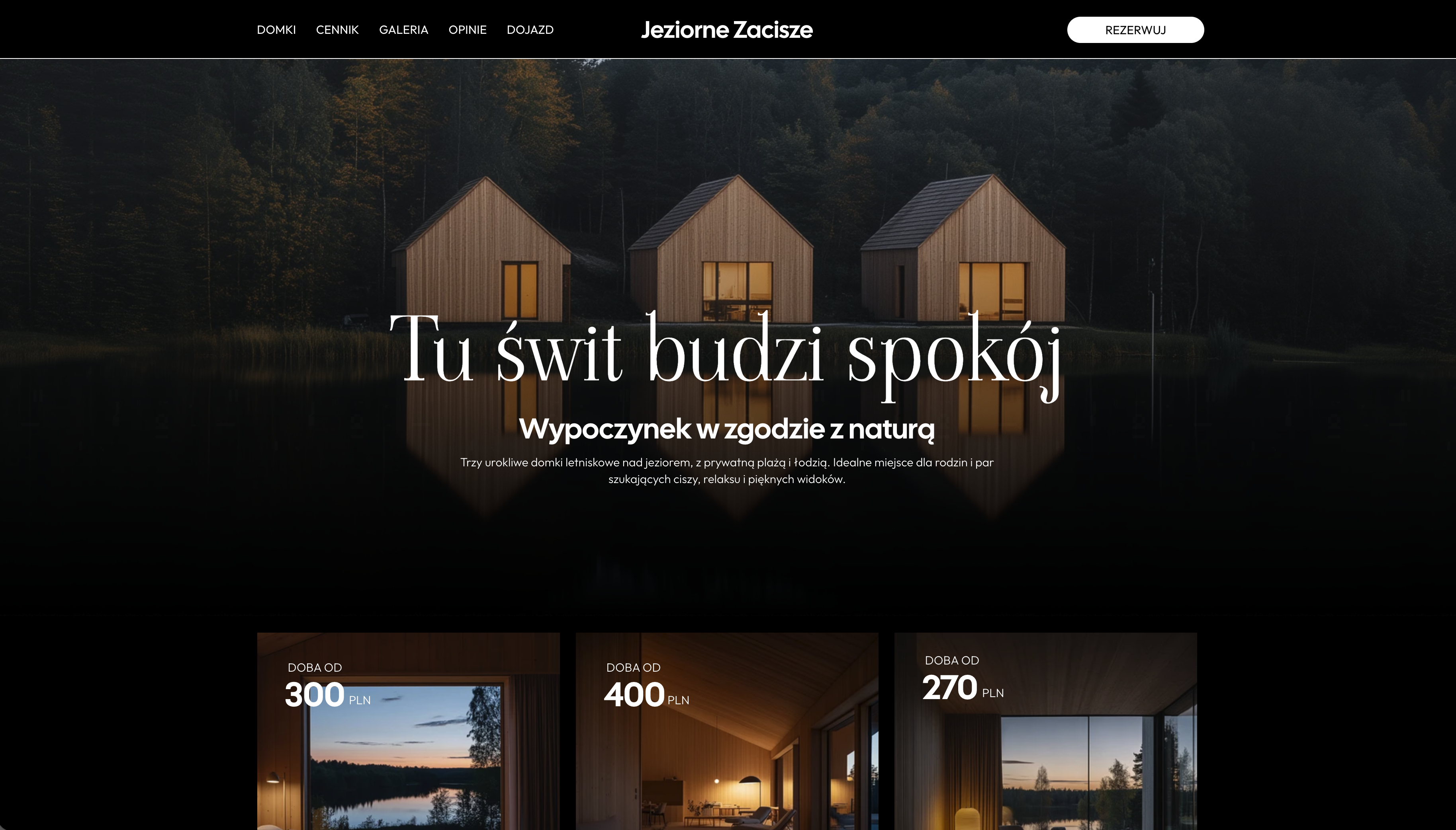 Șablon de site web